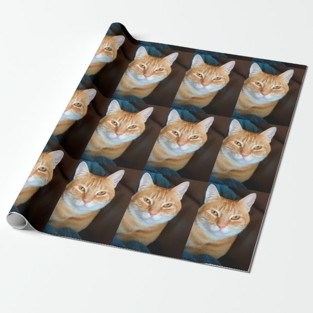 Papier Cadeau Taboureuse d'Orange (Déroulé)