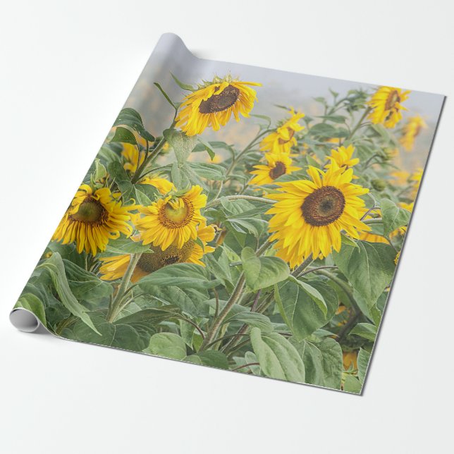 Papier Cadeau Terrain de tournesol Vert Jaune Belle Découpage (Déroulé)