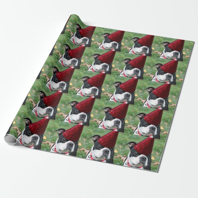 Papier Cadeau Terrier de Boston (Déroulé)