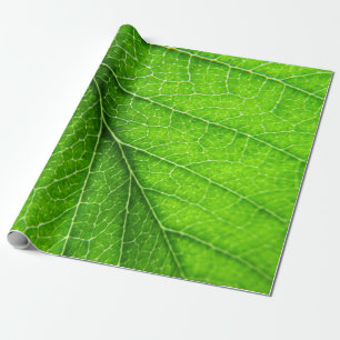 Papier Cadeau Texture verte de feuille