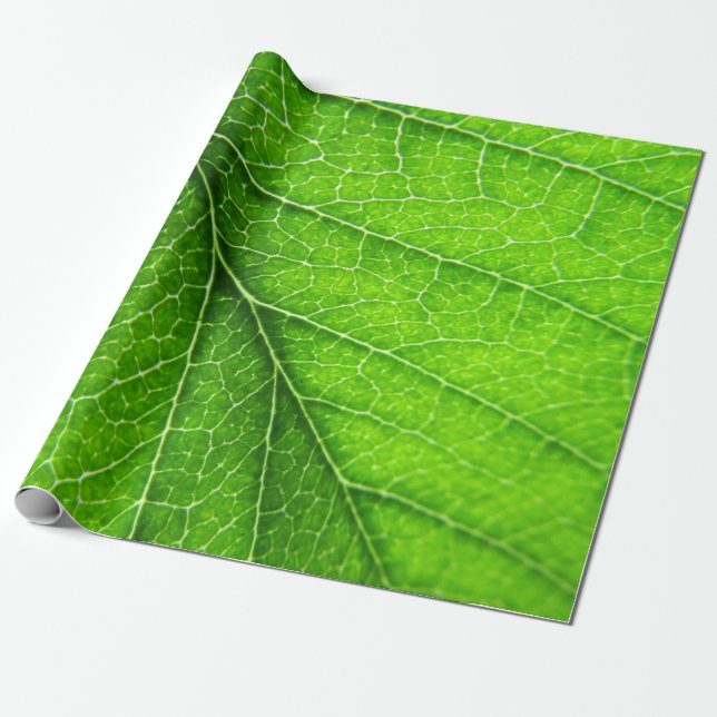 Papier Cadeau Texture verte de feuille (Déroulé)