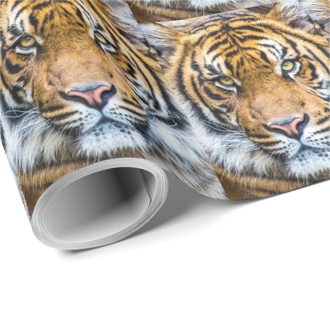 Papier Cadeau Tiger face (Coin rond)