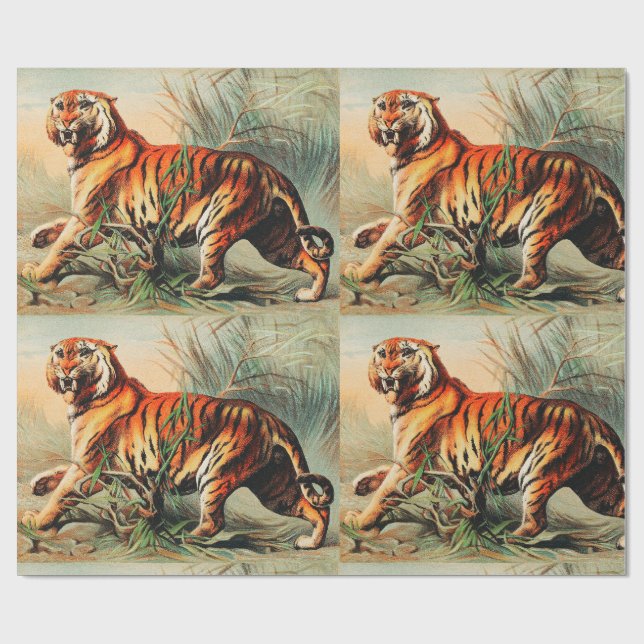 Papier Cadeau Tigre royal du Bengale (Plat)