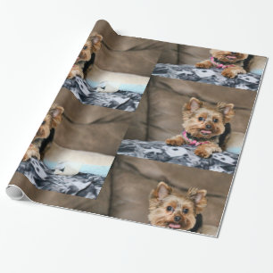 Papier Cadeau Tiny Dynamo