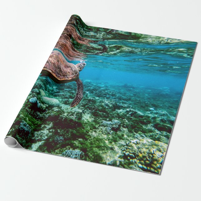 Papier Cadeau Tortue sous-marine tropicale (Déroulé)