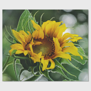 Papier Cadeau Tournesol
