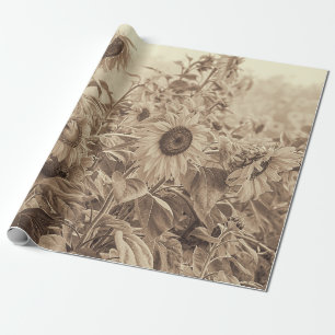 Papier Cadeau Tournesol Champ Vintage Sepia Tone Decoupage