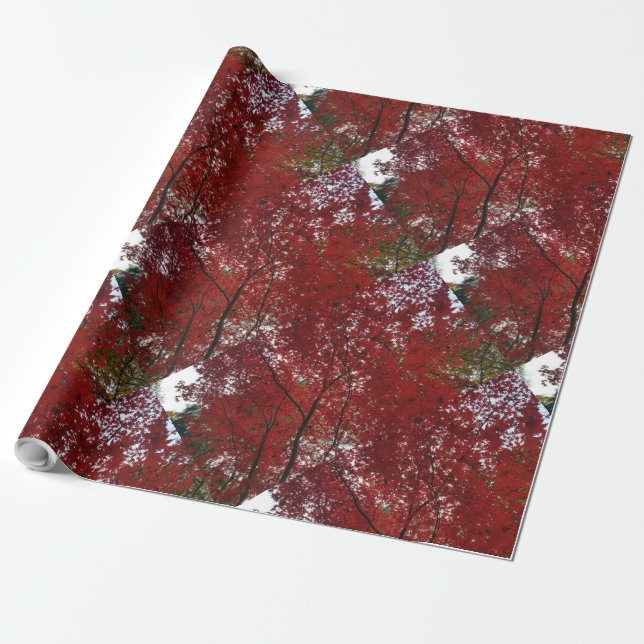 Papier Cadeau Tree Fall Season Red Brown Autumn Leaves (Déroulé)