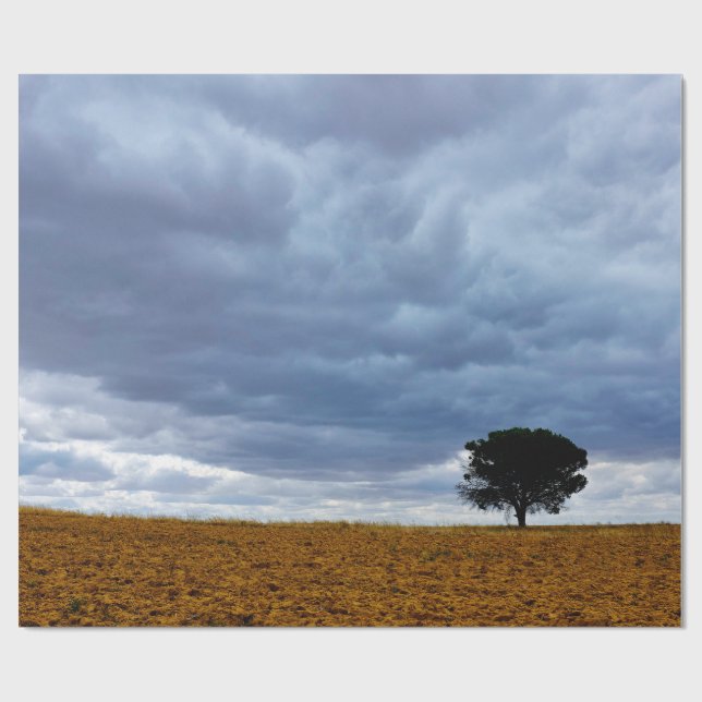 Papier Cadeau Tree in an empty field (Plat)