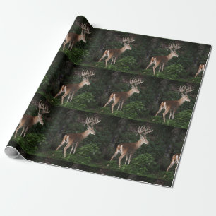 Papier Cadeau Trophée White Tail Buck En Velours