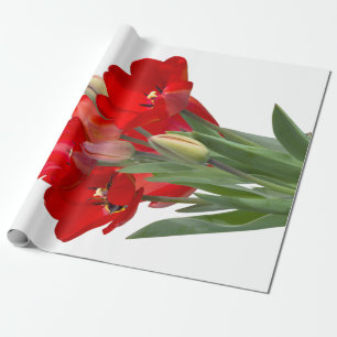Papier Cadeau Tulipes
