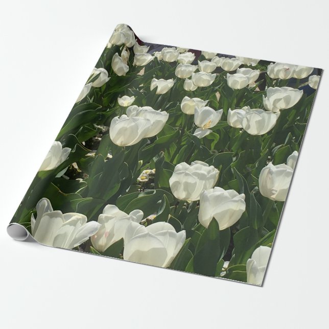 Papier Cadeau Tulipes blanches pour une fleur sensible (Déroulé)