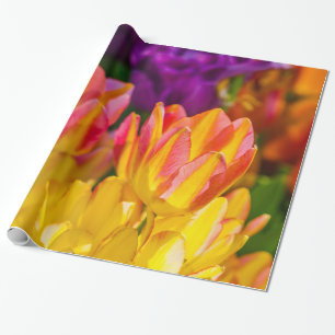 Papier Cadeau Tulipes Enchanter 16