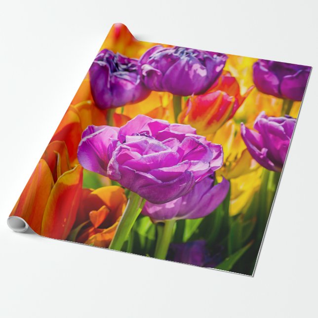 Papier Cadeau Tulipes Enchanter coloré (Déroulé)
