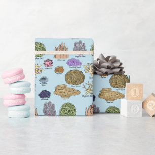 Papier Cadeau Types de corail