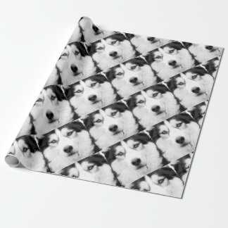 Papier Cadeau Un chien de traîneau sibérien noir et blanc