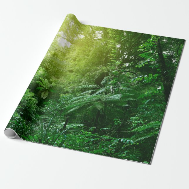 Papier Cadeau Un couvert d'arbres illuminé dans la jungle tropic (Déroulé)