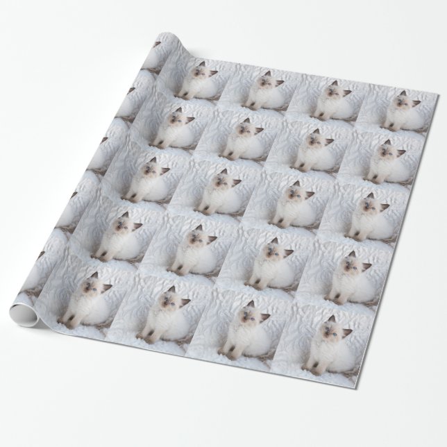 Papier Cadeau Un jeune chat de ragdoll se reposant sur la (Déroulé)