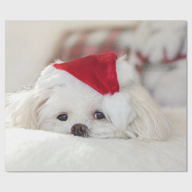 Papier Cadeau Un mignon chien blanc dans un Casquette de Noël ro (Plat)