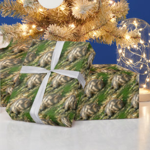 Papier Cadeau Un mignon rêve de Capybara dans le soleil d'été