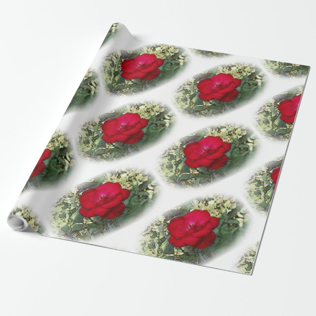 Papier Cadeau Une rose solitaire (Déroulé)