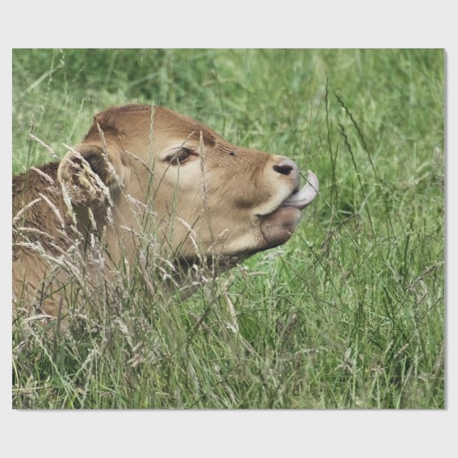 PAPIER CADEAU VACHE (Plat)