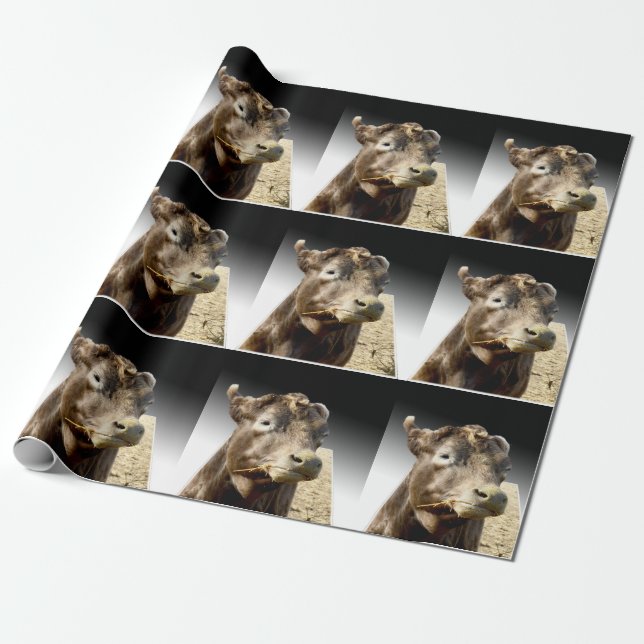 Papier Cadeau Vache Brown S'Élevant Sur Le Foin, (Déroulé)