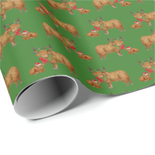 Papier Cadeau Vaches des Highlands de vacances