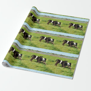 Papier Cadeau Vaches Galloway Bébé Dans Le Pays,