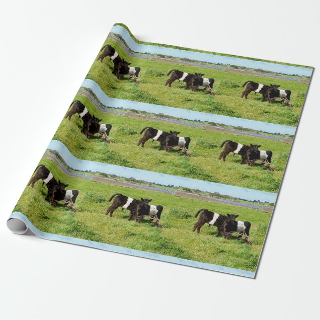 Papier Cadeau Vaches Galloway Bébé Dans Le Pays, (Déroulé)