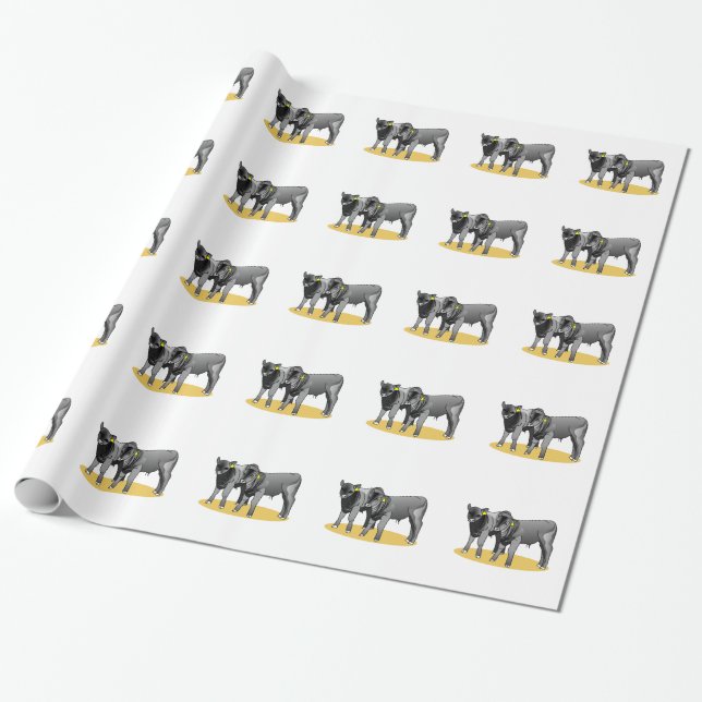 Papier Cadeau Veaux noirs d'Angus (Déroulé)