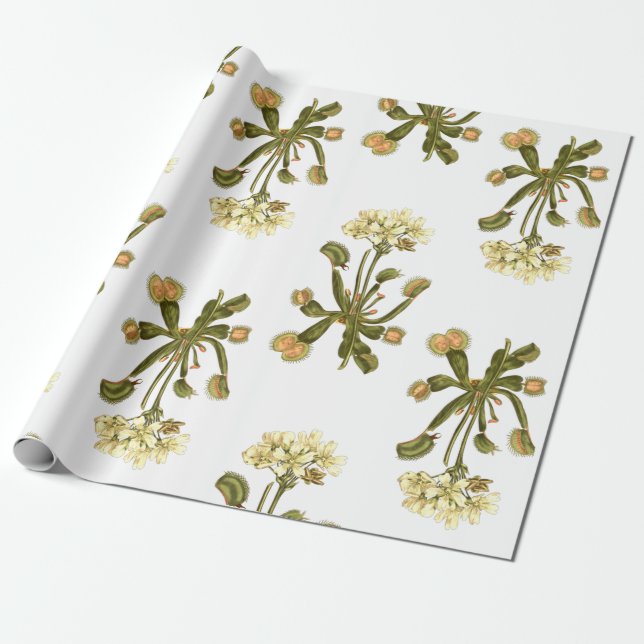 Papier Cadeau venus fleurs florales (Déroulé)