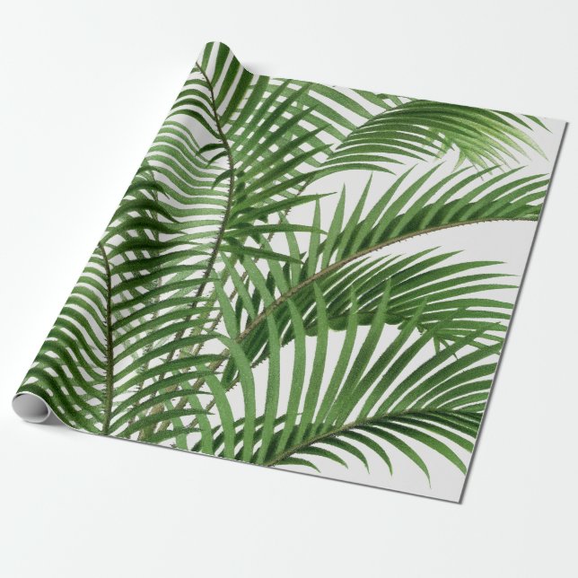 Papier Cadeau Verdure tropicale Aquarelle Palm Tree Feuilles (Déroulé)