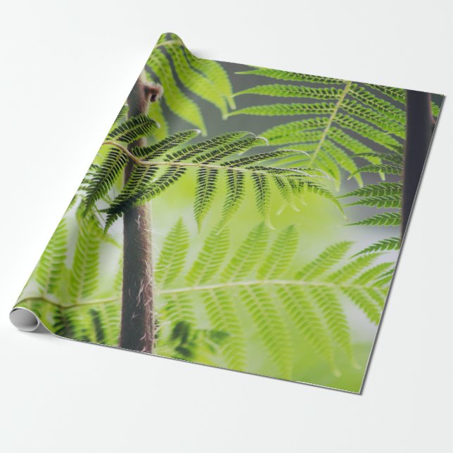 Papier Cadeau  Vert tropical (Déroulé)