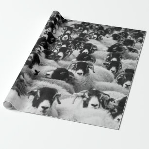 Papier Cadeau Vestige noir et blanc