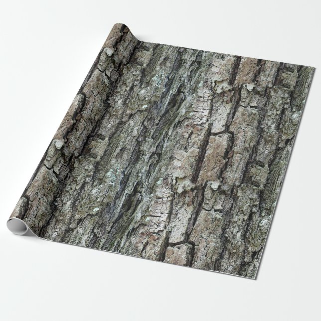 Papier Cadeau Vieille écorce de pin de nature (Déroulé)
