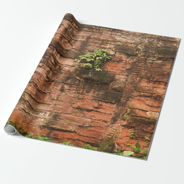 Papier Cadeau Vieux mur de brique cassé (Déroulé)