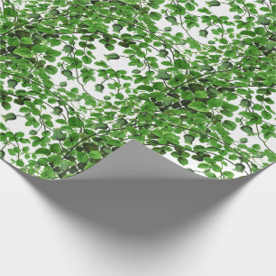 Papier Cadeau Vigne verte de lierre botanique