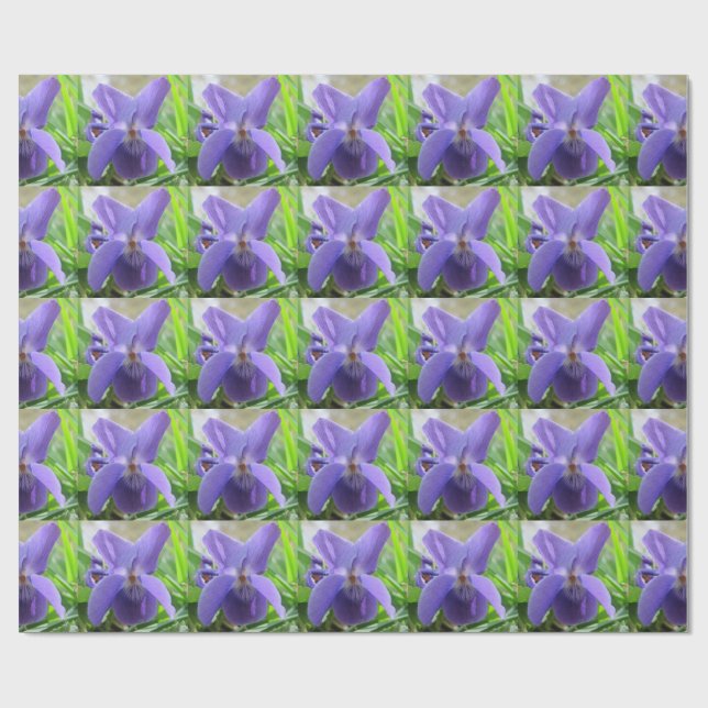 Papier Cadeau Violette douce (Plat)