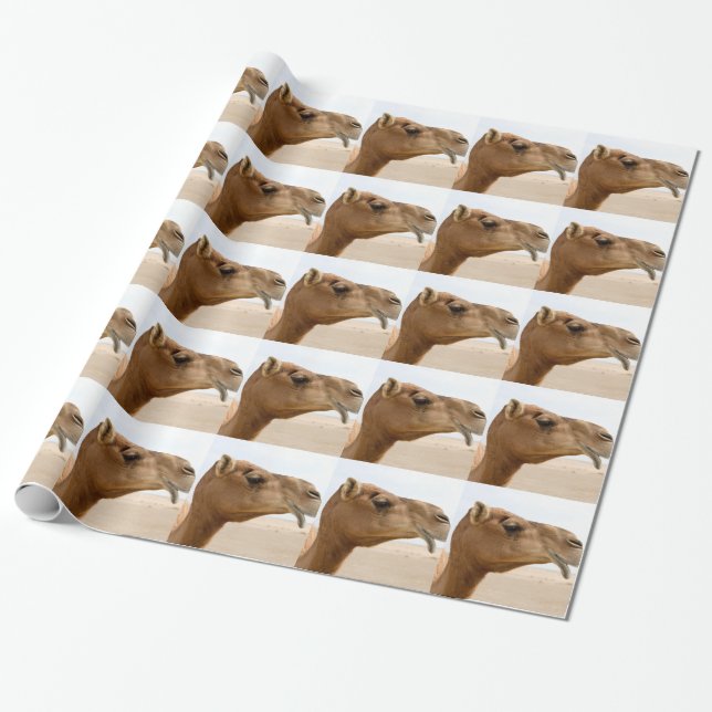 Papier Cadeau Visage de chameau (Déroulé)