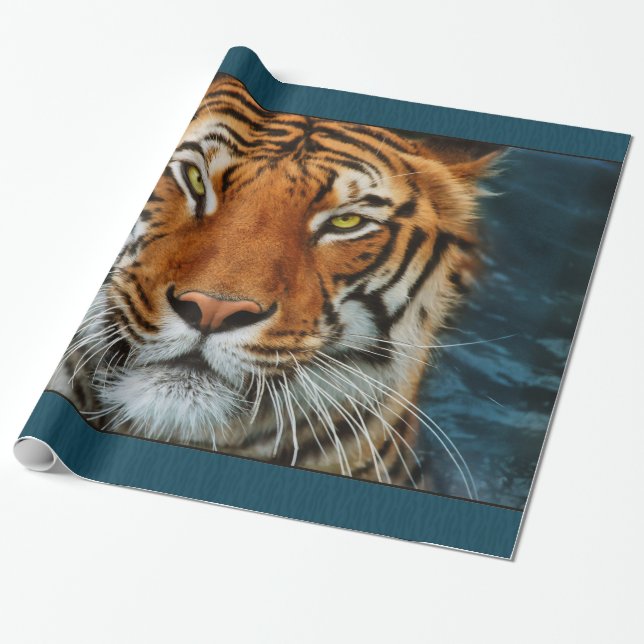 Papier Cadeau Visage de tigre (Déroulé)