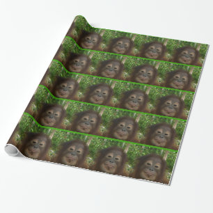 Papier Cadeau Visage d'orang-outan