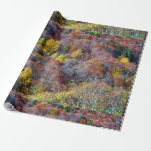 Papier Cadeau Vue aérienne de la forêt d'automne Arbres colorés