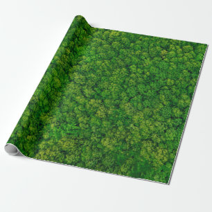 Papier Cadeau Vue de la forêt du dessus, vue aérienne du dessus 