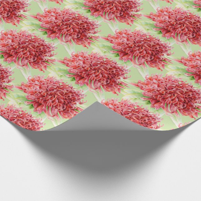 Papier Cadeau Waratah rouge botanica aquarelle (Coin)