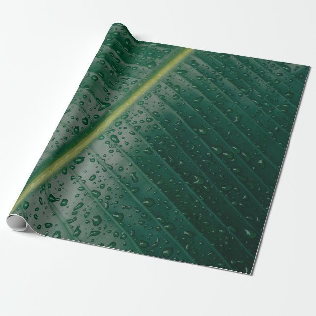Papier Cadeau Water droplets on banana leaf (Déroulé)