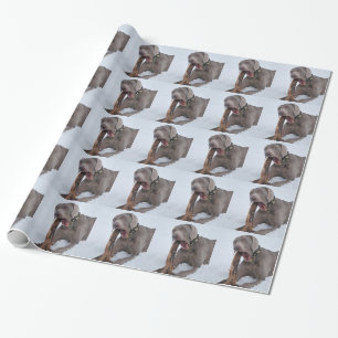 Papier Cadeau Weimaraner