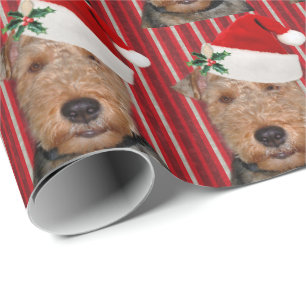 Papier Cadeau Welsh Terrier avec le casquette du Père Noël