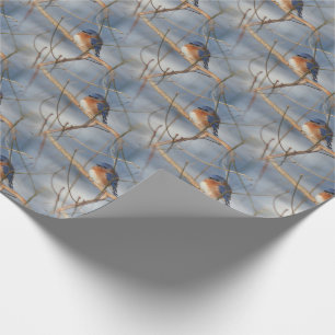 Papier Cadeau Winter Bluebird Nature Motif  