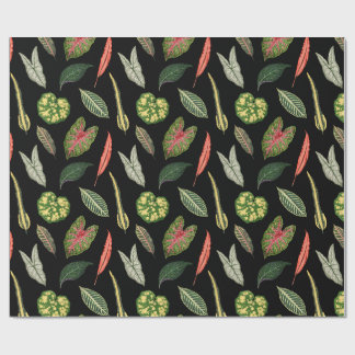 Papier Cadeau Wrapping Paper
